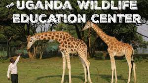 Uganda Wildlife Conservation Center